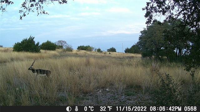 LOT-82 Three Creeks Dr, Bertram, TX 78605 - photo 6