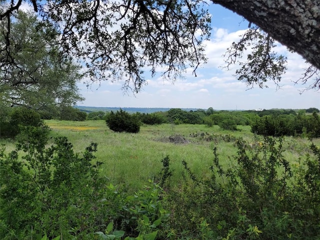 LOT-82 Three Creeks Dr, Bertram, TX 78605 - photo 4