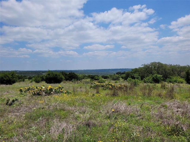 LOT-82 Three Creeks Dr, Bertram, TX 78605 - photo 5
