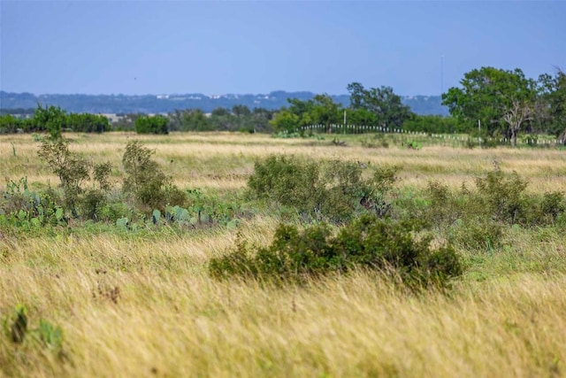 TRACT1 Fm 243, Bertram, TX 78605 - photo 2