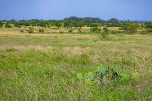 TRACT1 Fm 243, Bertram, TX 78605 - photo 3