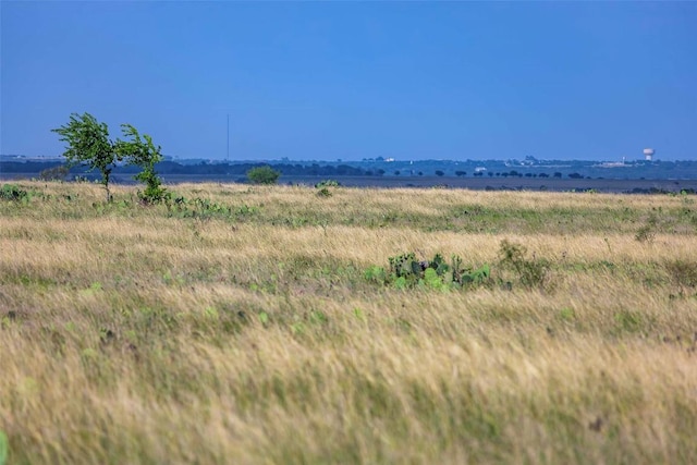 TRACT1 Fm 243, Bertram, TX 78605 - photo 9