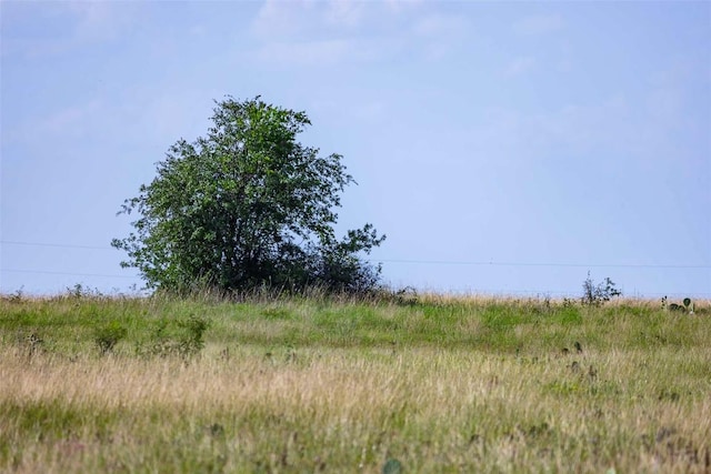 TRACT1 Fm 243, Bertram, TX 78605 - photo 10