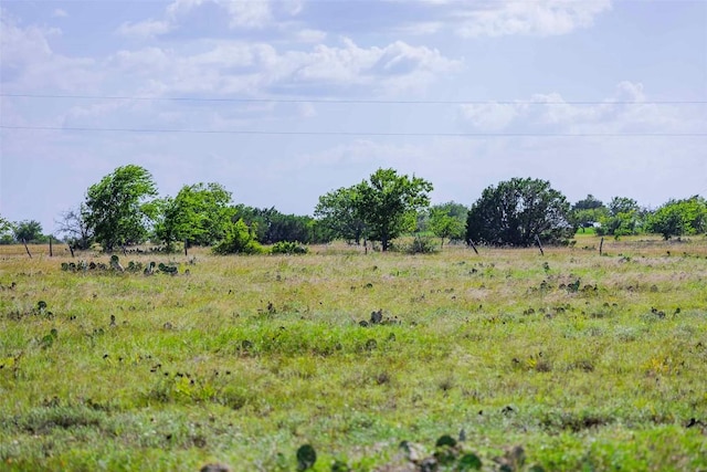TRACT1 Fm 243, Bertram, TX 78605 - photo 12