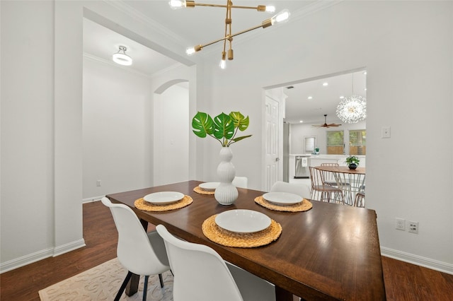 5010 N Fresco Dr, Austin, TX 78731 - photo 19