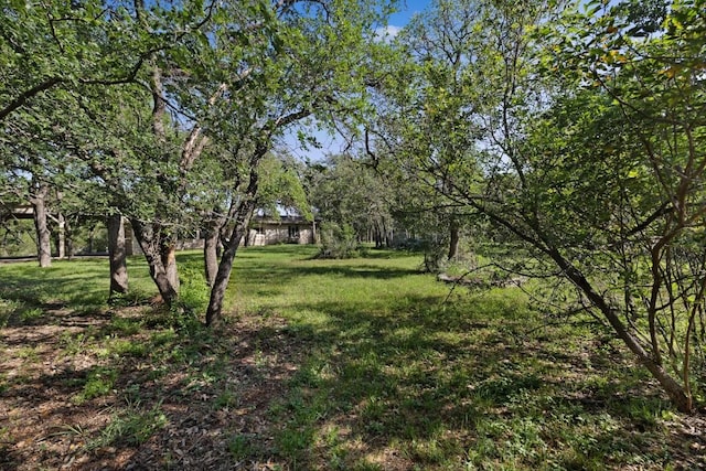 2905 Stratford Dr, Austin, TX 78746 - photo 7