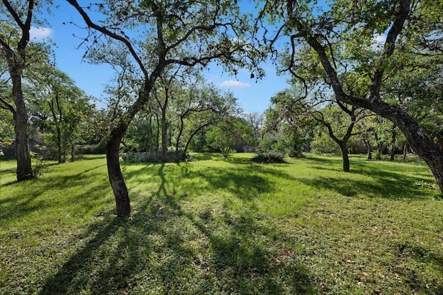 2905 Stratford Dr, Austin, TX 78746 - photo 11