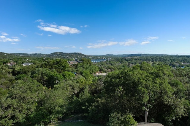 2905 Stratford Dr, Austin, TX 78746 - photo 3
