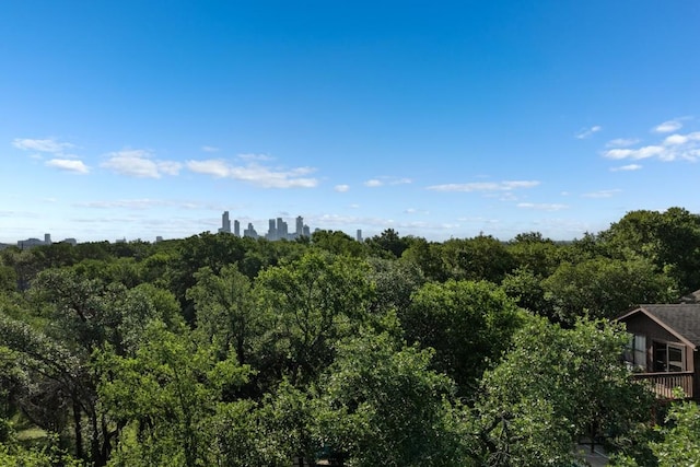 2905 Stratford Dr, Austin, TX 78746 - photo 4