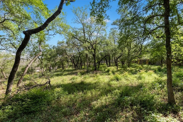 2 Chris Cv, Austin, TX 78746 - photo 19