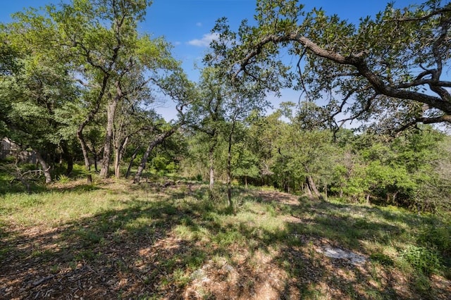 2 Chris Cv, Austin, TX 78746 - photo 21