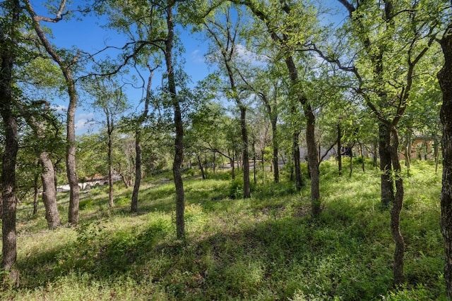 2 Chris Cv, Austin, TX 78746 - photo 22