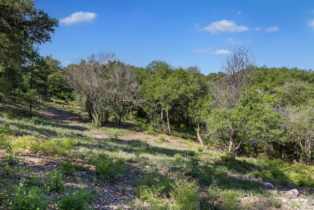 2 Chris Cv, Austin, TX 78746 - photo 24
