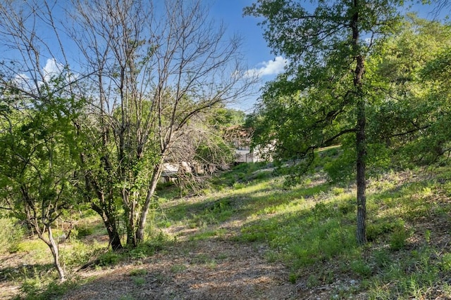 2 Chris Cv, Austin, TX 78746 - photo 29