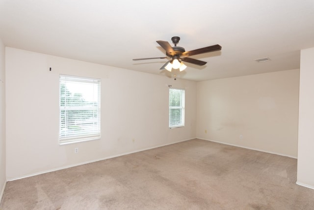 102 Quail Hollow Dr, Hutto, TX 78634 - photo 19