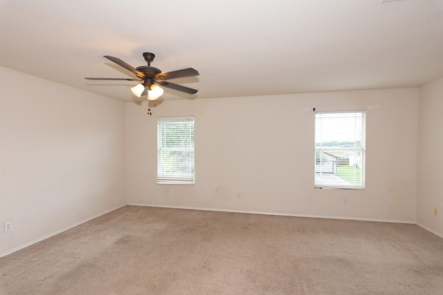 102 Quail Hollow Dr, Hutto, TX 78634 - photo 20