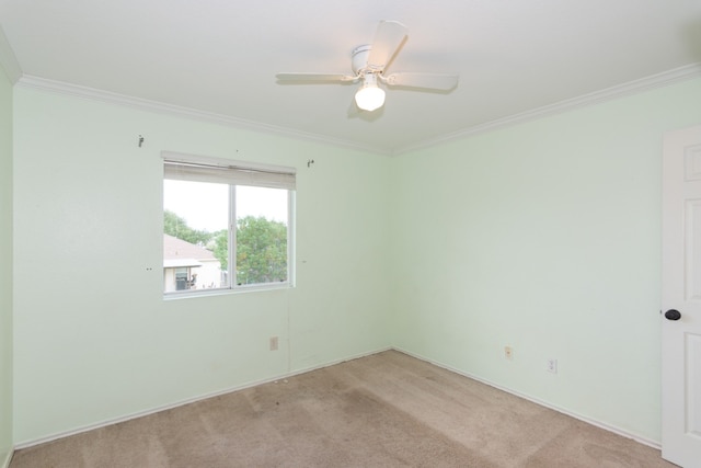 102 Quail Hollow Dr, Hutto, TX 78634 - photo 26