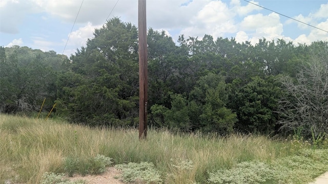 1111 Ponderosa Bnd, Horseshoe Bay, TX 78657 - photo 3