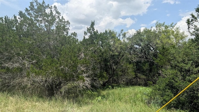 1111 Ponderosa Bnd, Horseshoe Bay, TX 78657 - photo 4
