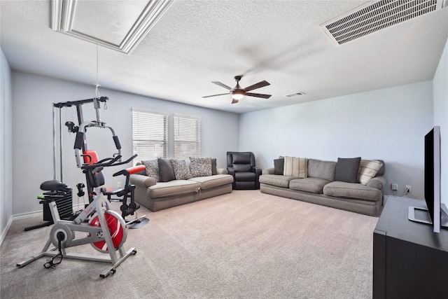 1324 Eagle Ray St, Leander, TX 78641 - photo 8