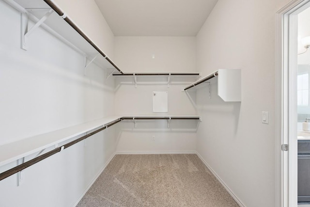 9304 Apogee Blvd, Austin, TX 78744 - photo 16