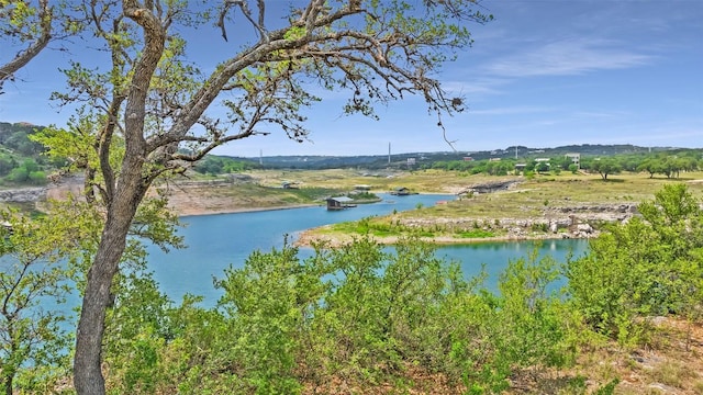 19813 Lakehurst Loop, Spicewood, TX 78669 - photo 10
