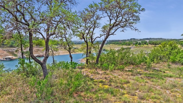 19813 Lakehurst Loop, Spicewood, TX 78669 - photo 11