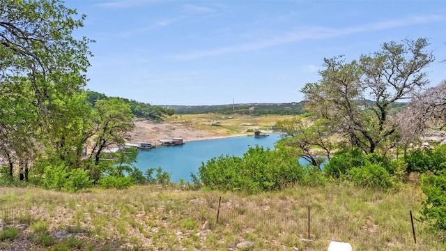 19813 Lakehurst Loop, Spicewood, TX 78669 - photo 12