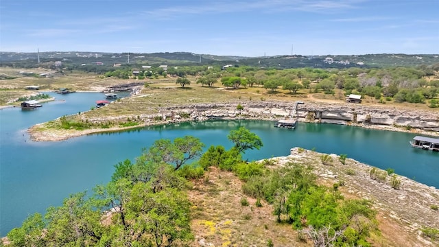 19813 Lakehurst Loop, Spicewood, TX 78669 - photo 19