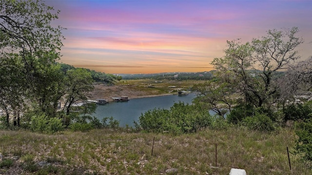 19813 Lakehurst Loop, Spicewood, TX 78669 - photo 20