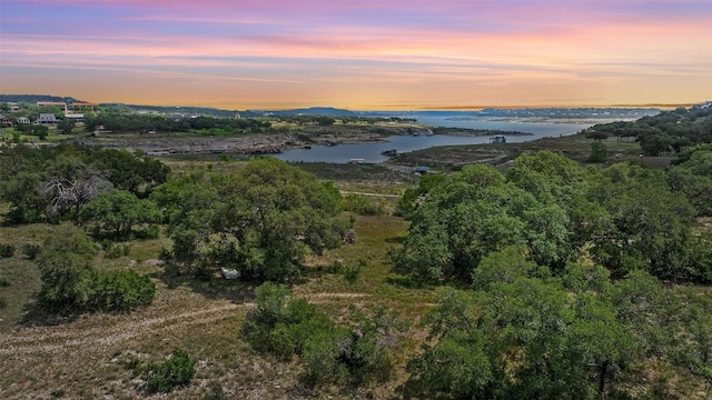 19813 Lakehurst Loop, Spicewood, TX 78669 - photo 23