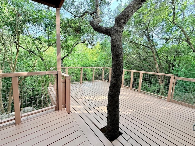 1903 Canyon Edge Dr, Austin, TX 78733 - photo 17