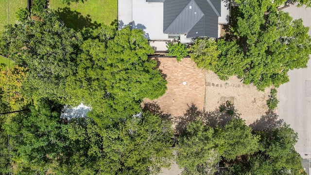 405 El Paso St, Austin, TX 78704 - photo 30