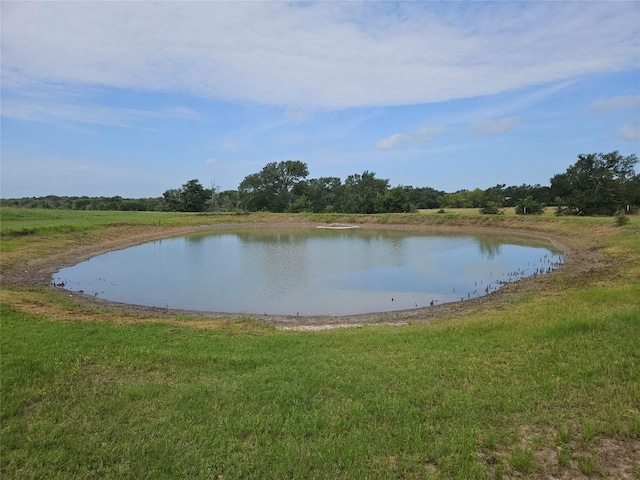 350 Oak Creek Trl, Thrall, TX 76578 - photo 21
