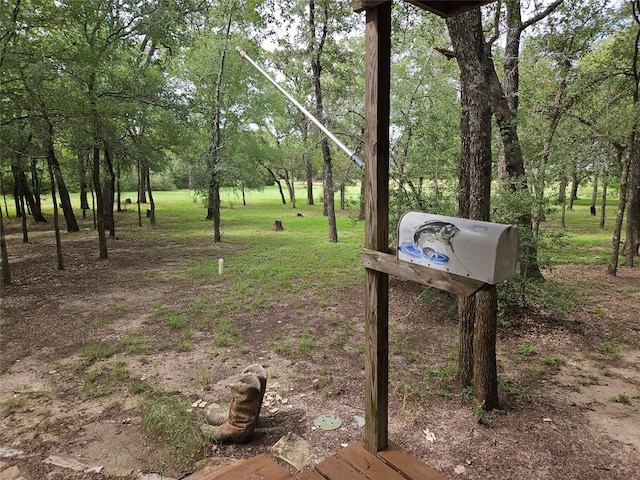 350 Oak Creek Trl, Thrall, TX 76578 - photo 6