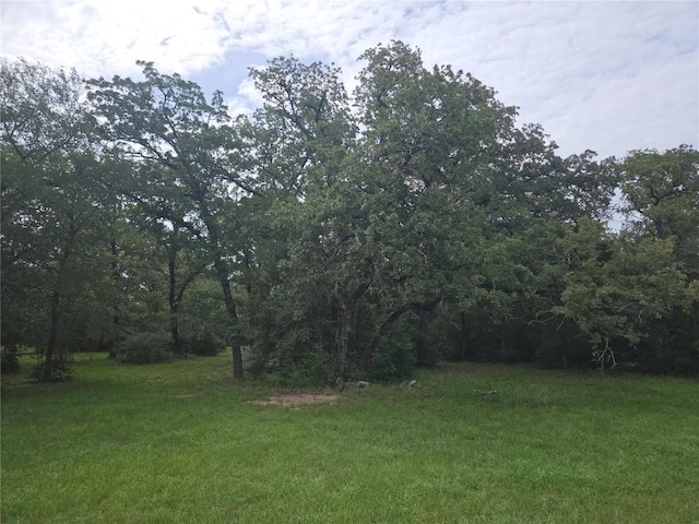 350 Oak Creek Trl, Thrall, TX 76578 - photo 23