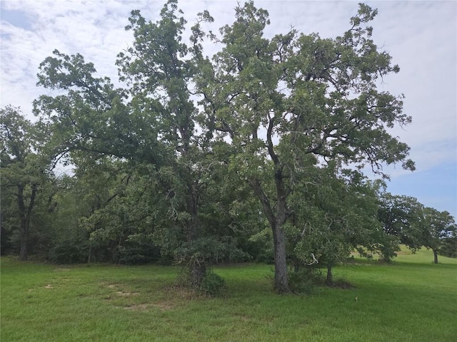 350 Oak Creek Trl, Thrall, TX 76578 - photo 24
