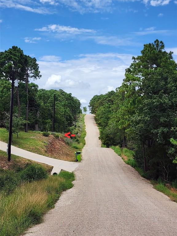 170 Molokini Dr, Bastrop, TX 78602 - photo 1