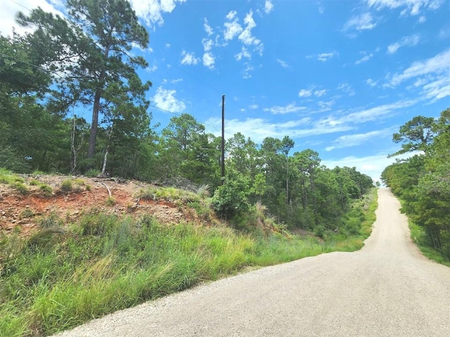 170 Molokini Dr, Bastrop, TX 78602 - photo 2