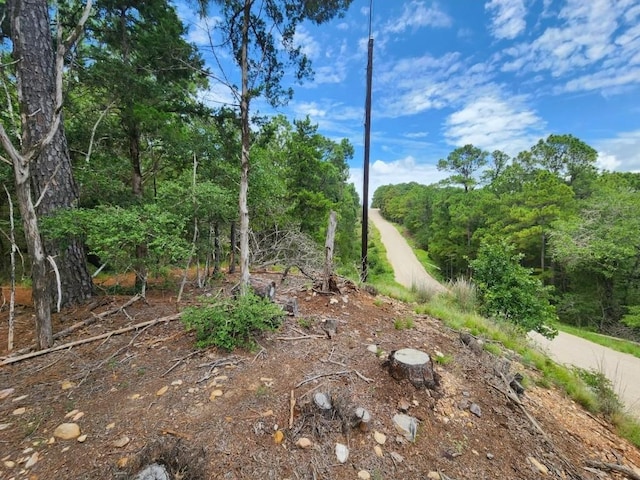170 Molokini Dr, Bastrop, TX 78602 - photo 3
