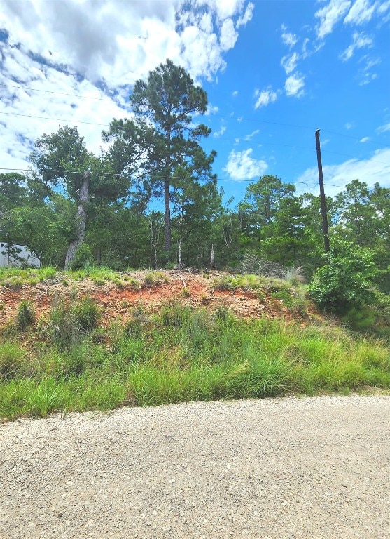 170 Molokini Dr, Bastrop, TX 78602 - photo 4