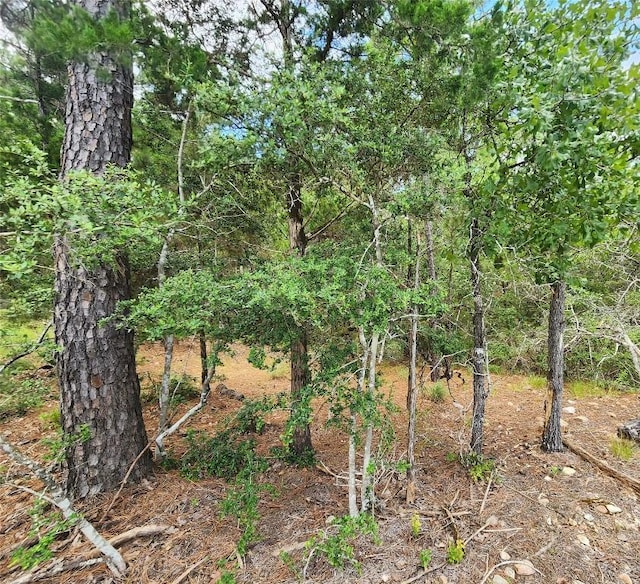 170 Molokini Dr, Bastrop, TX 78602 - photo 5