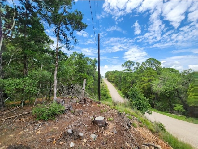 170 Molokini Dr, Bastrop, TX 78602 - photo 6