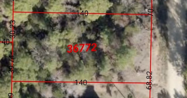 170 Molokini Dr, Bastrop, TX 78602 - photo 8