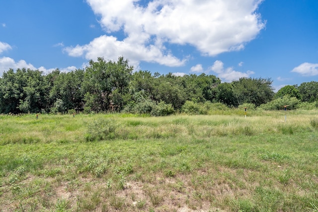 1001 W Cimarron Hills Trl, Georgetown, TX 78628 - photo 6
