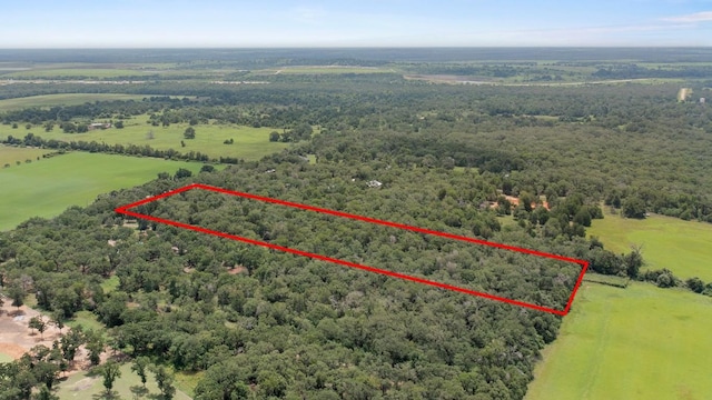 4500 County Road 448, Thorndale, TX 76577 - photo 18