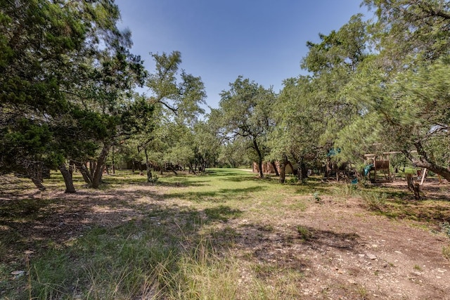 203 Stirrup Dr, Dripping Springs, TX 78620 - photo 5