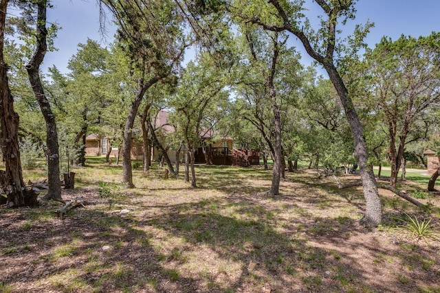 203 Stirrup Dr, Dripping Springs, TX 78620 - photo 6