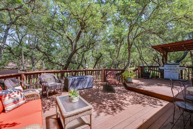 203 Stirrup Dr, Dripping Springs, TX 78620 - photo 27