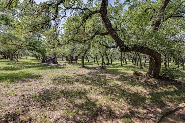 203 Stirrup Dr, Dripping Springs, TX 78620 - photo 34